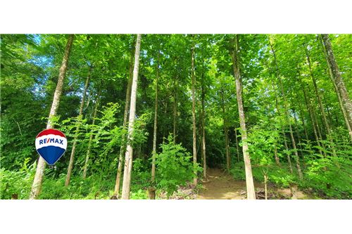 Te Koop-Bedrijfsverkoop-Parrita, Puntarenas - Parrita, Costa Rica-90168013-148