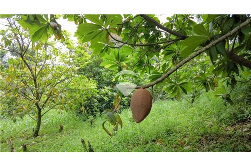 Land - For Sale - Nuevo Cuscatlán, La Libertad, El Salvador - 8 - 90100029-51