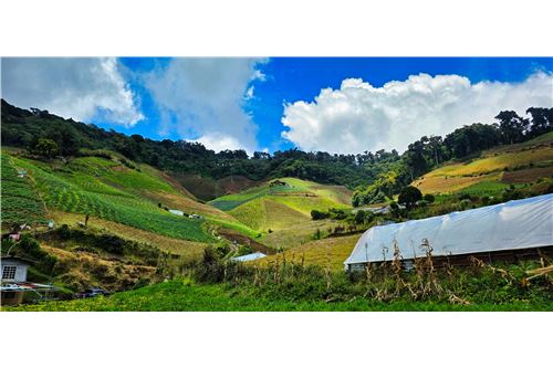 For Sale-Land-Bugaba - Volcan, Chiriquí, Panama-902371001-91