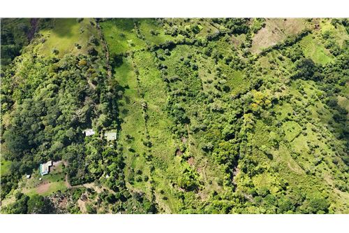 For Sale-Land-Pérez Zeledón, San Jose, Costa Rica-901601008-40