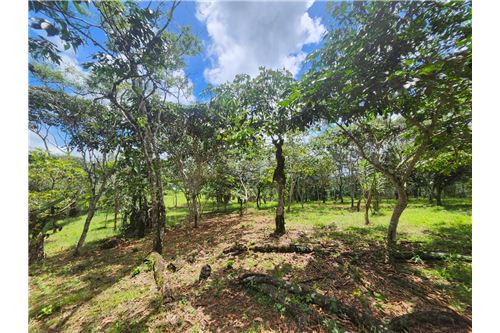 For Sale-Land-Pérez Zeledón, San Jose, Costa Rica-90176018-44