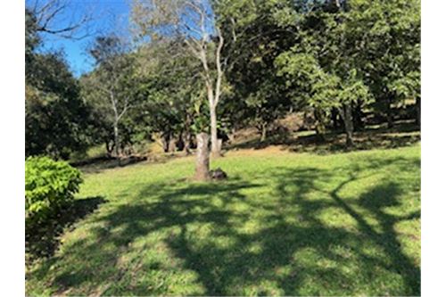 Comercial - Terreno - Atenas, Alajuela- Atenas, Costa Rica - Caribbean & Central Ameri - 5 - 90128002-994