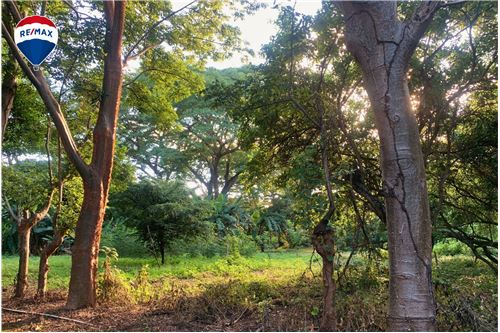 For Sale-Land-Managua, Managua, Nicaragua-902521007-1