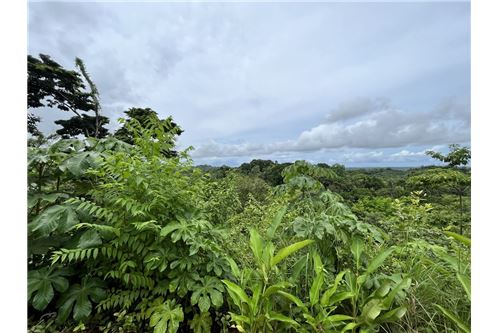 Te Koop-Grondstuk-Parrita, Puntarenas - Parrita, Costa Rica-902181010-64