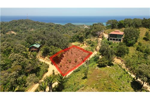 Te Koop-Grondstuk-Roatan, Bay Islands, Honduras-90143009-244