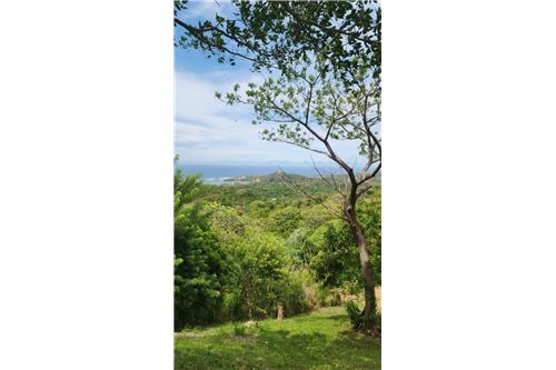 Te Koop-Grondstuk-Roatan, Bay Islands, Honduras-90143009-372