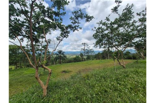 Venta-Lote-Pérez Zeledón, San José, Costa Rica-90176018-12