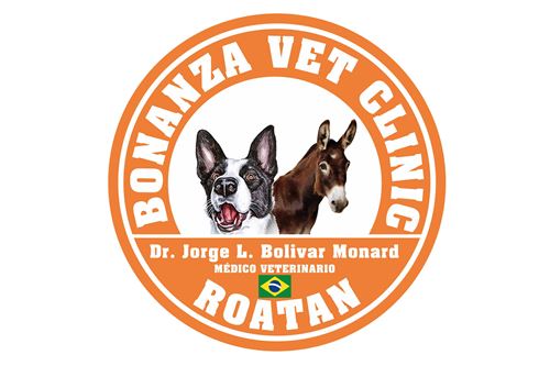 Te Koop-Grondstuk-Roatan, Bay Islands, Honduras-90139004-176