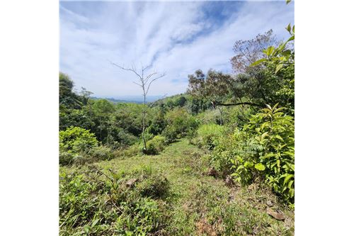 For Sale-Land-Pérez Zeledón, San Jose, Costa Rica-90176018-30
