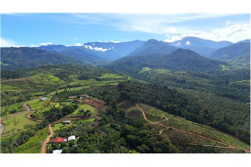 For Sale-Land-Pérez Zeledón, San Jose, Costa Rica-901601006-8