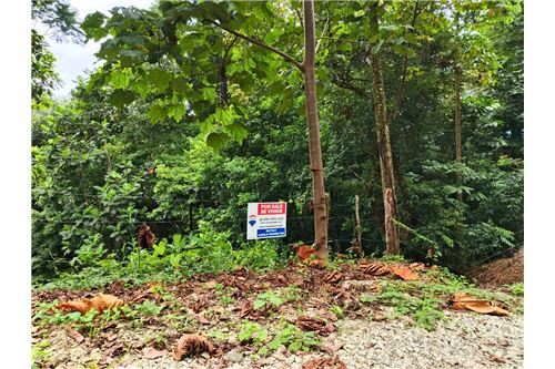 Te Koop-Grondstuk-Puntarenas, Puntarenas - Puntarenas, Costa Rica-902211013-3
