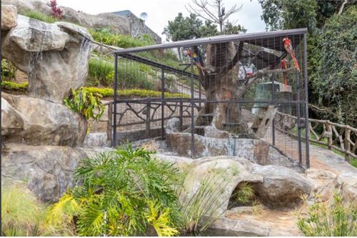 Residencial - Villa - Naranjo, Puntarenas, Costa Rica - Caribbean & Central Ameri - 15 - 90128002-990