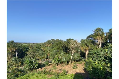 Te Koop-Grondstuk-Utila, Bay Islands, Honduras-90182002-567
