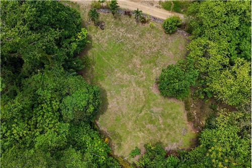 Te Koop-Grondstuk-Tres Rios, Puntarenas, Costa Rica-90176004-57