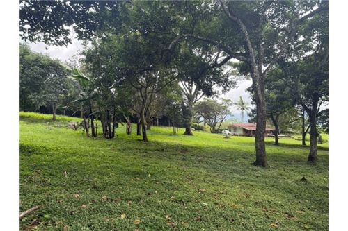 Comercial - Terreno - Atenas, Alajuela- Atenas, Costa Rica - Caribbean & Central Ameri - 12 - 90128002-994