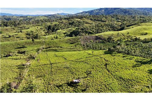 For Sale-Land-Pérez Zeledón, San Jose, Costa Rica-90176018-18