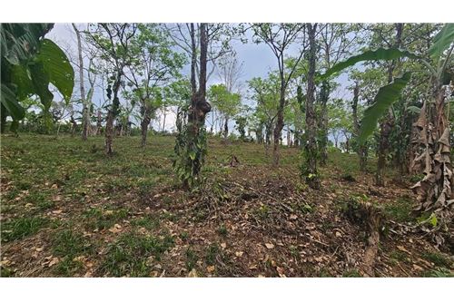 For Sale-Land-Pérez Zeledón, San Jose, Costa Rica-90176018-38