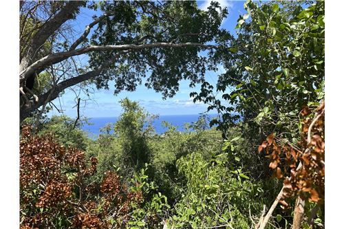 For Sale-Land-Mount Washington and Washington Hill Estate, St Croix, US Virgin Islands-90123004-2