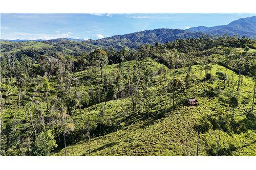 For Sale-Land-Pérez Zeledón, San Jose, Costa Rica-90176018-19