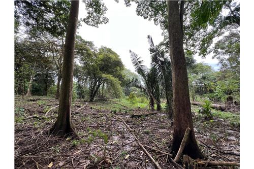For Sale-Land-Puntarenas, Puntarenas - Puntarenas, Costa Rica-902211010-6