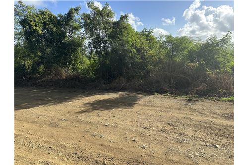 For Sale-Land-Hermitage, St Croix, US Virgin Islands-90123004-6
