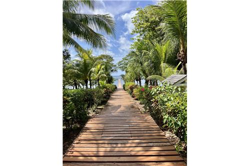 Te Koop-Grondstuk-Roatan, Bay Islands, Honduras-90143009-243