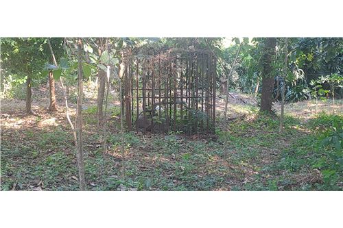 Te Koop-Grondstuk-Ciudad Arce, La Libertad, El Salvador-901901036-51