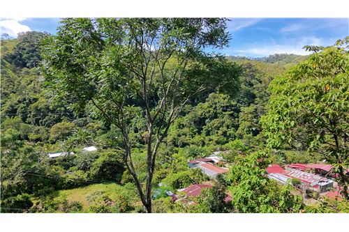 For Sale-Land-Pérez Zeledón, San Jose, Costa Rica-901601003-3