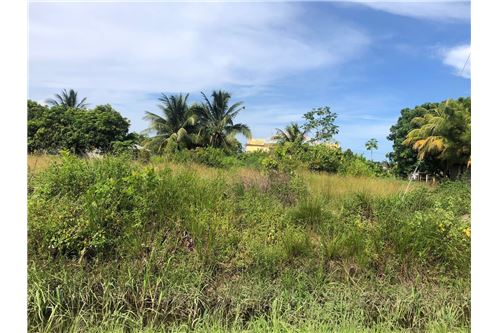 For Sale-Land-Independence Independence, Stann Creek District, Belize-90127034-3