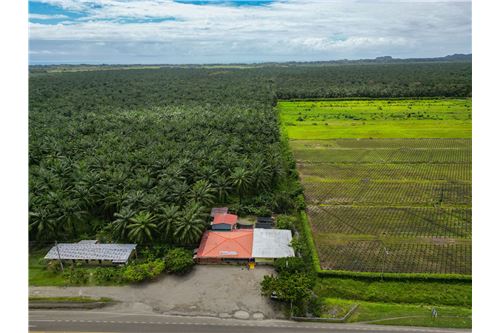 For Sale-Commercial/Retail-Savegre, Puntarenas - Quepos, Costa Rica-902181017-4