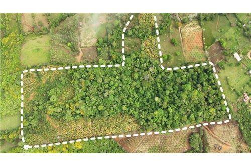 For Sale-Land-Pérez Zeledón, San Jose, Costa Rica-90176018-28