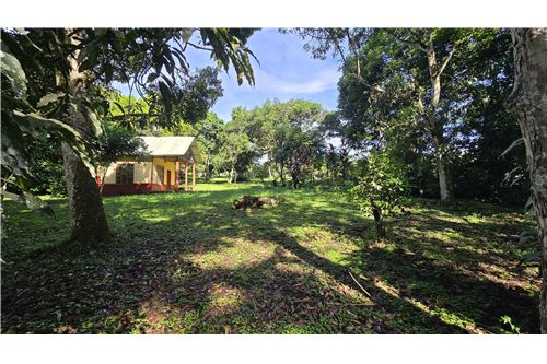 Venta-Lote-Pérez Zeledón, San José, Costa Rica-901601009-2