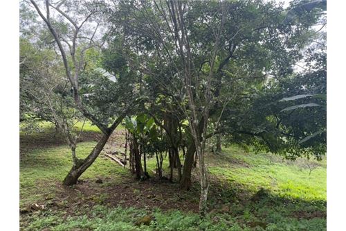 Comercial - Terreno - Atenas, Alajuela- Atenas, Costa Rica - Caribbean & Central Ameri - 11 - 90128002-994