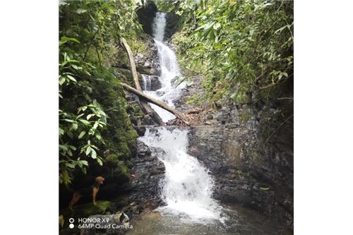 Te Koop-Grondstuk-Pérez Zeledón, San José, Costa Rica-90176018-64