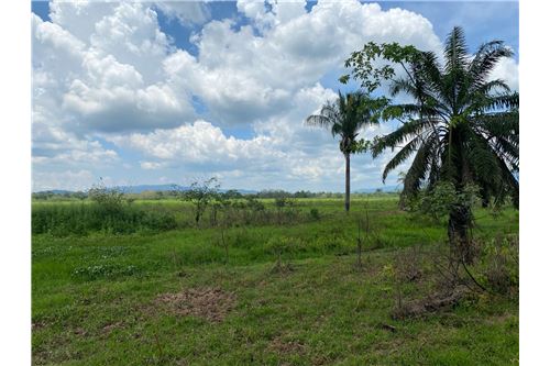 Venta-Lote-Puntarenas, Puntarenas - Puntarenas, Costa Rica-902211014-12