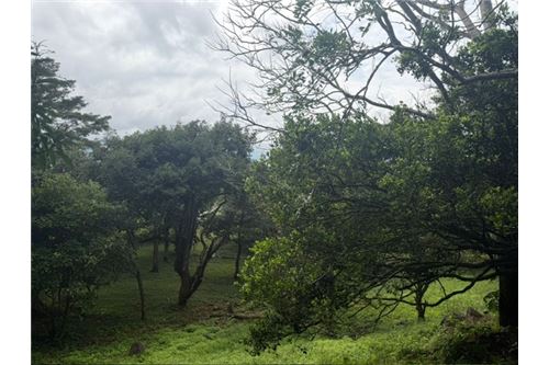 Comercial - Terreno - Atenas, Alajuela- Atenas, Costa Rica - Caribbean & Central Ameri - 22 - 90128002-994