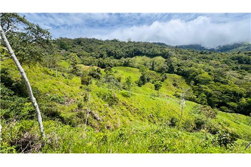 For Sale-Land-Pérez Zeledón, San Jose, Costa Rica-90176018-47