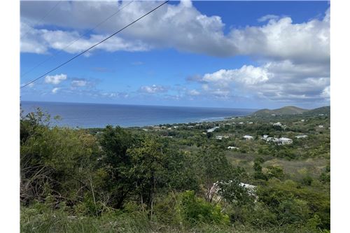 Te Koop-Grondstuk-La Vallee, St Croix, US Virgin Islands-90123012-148