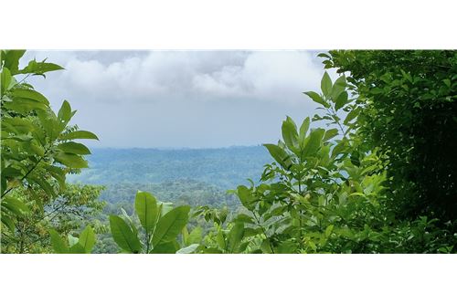 Te Koop-Grondstuk-Puntarenas, Puntarenas - Puntarenas, Costa Rica-902211015-1