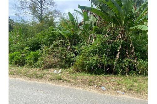 Te Koop-Grondstuk-Tabaquite, Caroni, Trinidad and Tobago-90155109-149