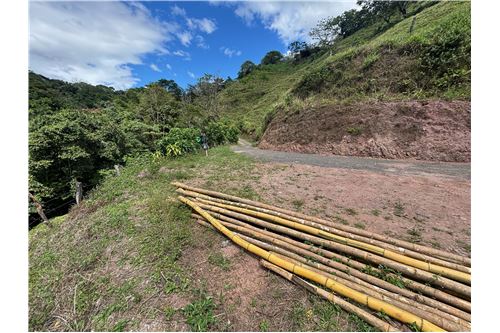 Te Koop-Villa-Atenas, Alajuela- Atenas, Costa Rica-90128002-901