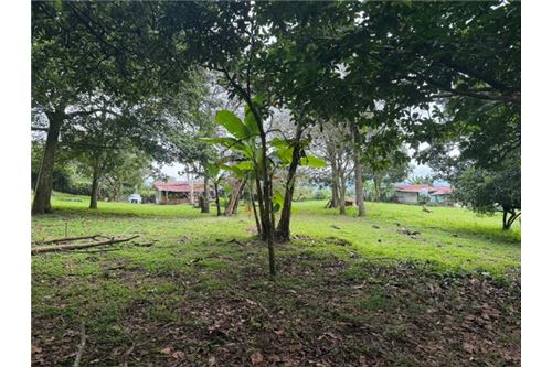 Comercial - Terreno - Atenas, Alajuela- Atenas, Costa Rica - Caribbean & Central Ameri - 6 - 90128002-994