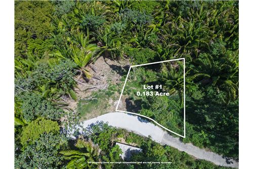 Te Koop-Grondstuk-Roatan, Bay Islands, Honduras-90143009-411