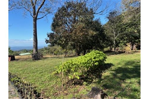 Comercial - Terreno - Atenas, Alajuela- Atenas, Costa Rica - Caribbean & Central Ameri - 23 - 90128002-994