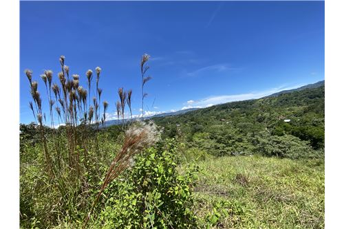 Venta-Lote-Pérez Zeledón, San José, Costa Rica-901601013-1