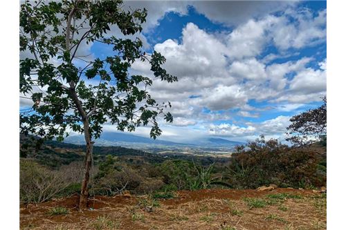 Commercial - Land - Atenas, Alajuela- Atenas, Costa Rica - Caribbean & Central Ameri - 2 - 90128007-194