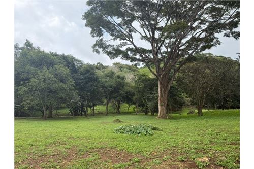 Comercial - Terreno - Atenas, Alajuela- Atenas, Costa Rica - Caribbean & Central Ameri - 16 - 90128002-994