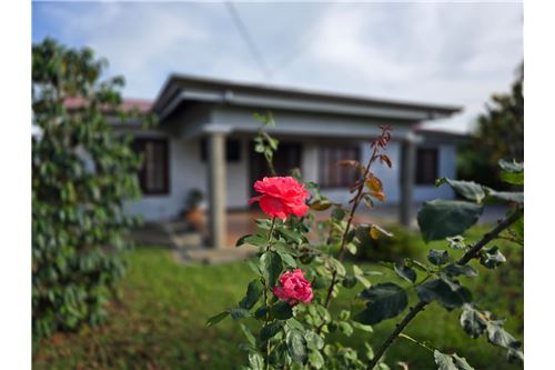 Te Koop-Villa-Grecia, Alajuela- Grecia, Costa Rica-902381010-146