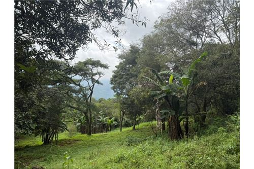 Comercial - Terreno - Atenas, Alajuela- Atenas, Costa Rica - Caribbean & Central Ameri - 10 - 90128002-994