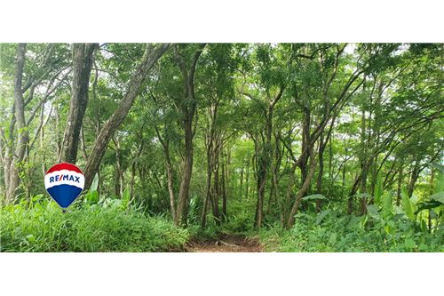 Te Koop-Bedrijfsverkoop-Parrita, Puntarenas - Parrita, Costa Rica-90168013-147
